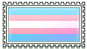 transgender!